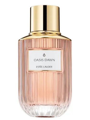 Imagen de Oasis Dawn