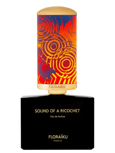 Imagen de Sound of a Ricochet