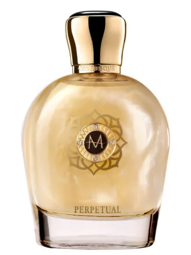 Imagen de Perpetual