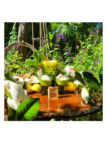 Perfume Solstice Magnolia de Solstice Scents