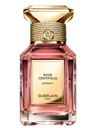 Imagen de Rose Centifolia Extrait 1