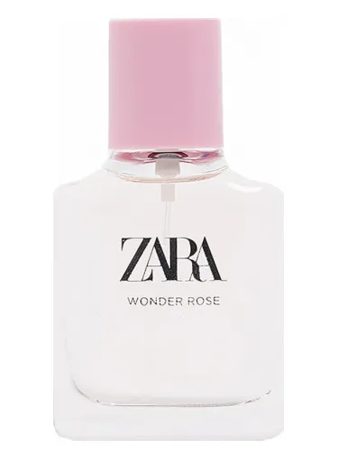 Imagen de Wonder Rose 2019