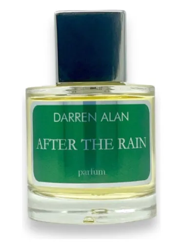 Imagen de After The Rain