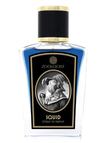 Imagen de Squid