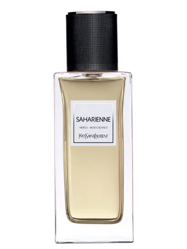 Imagen de Saharienne