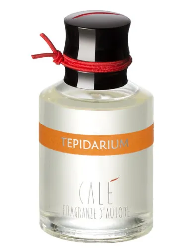 Imagen de Tepidarium