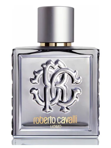 Imagen de Roberto Cavalli Uomo Silver Essence