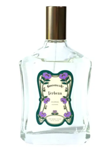 Imagen de Verbena