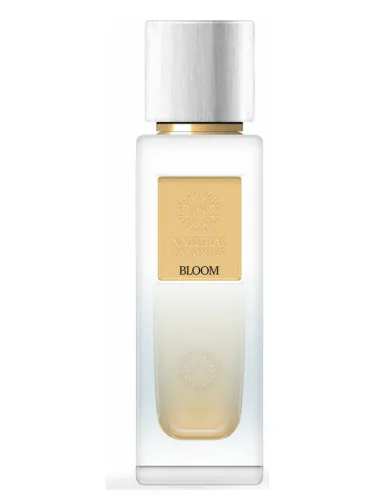 Imagen de Bloom