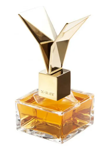 Perfume Resurrextion de X-Ray