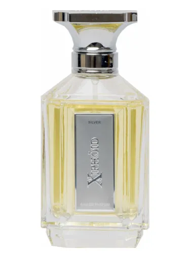 Imagen de Silver for Men