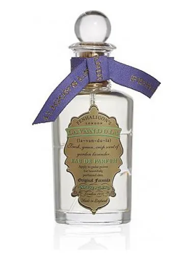 Imagen de Lavandula