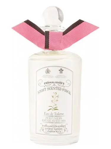 Imagen de Night Scented Stock