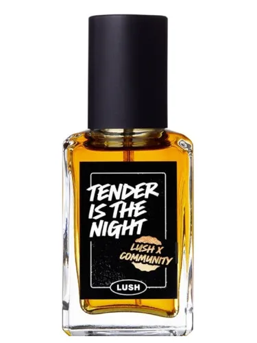 Imagen de Tender is the Night