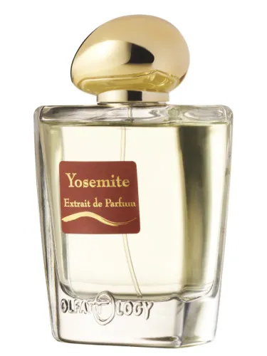 Perfume Yosemite de Olfattology