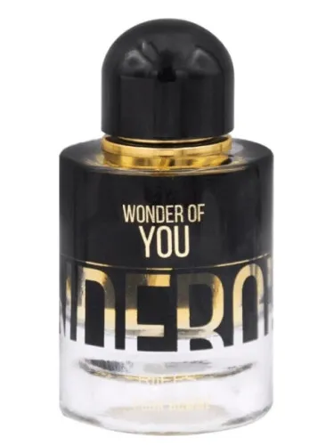 Imagen de Wonder of You Men