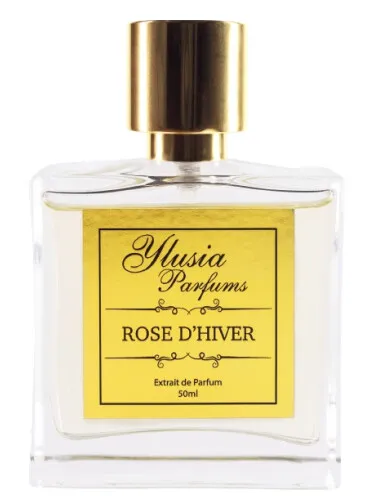 Imagen de Rose d'Hiver