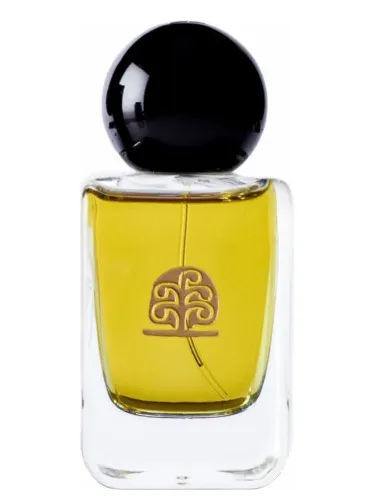 Perfume Hommage à Paul Klee Lights and Shadows de Ys-Uzac