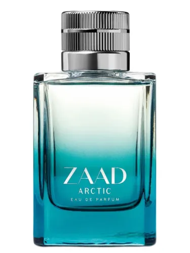 Imagen de Zaad Arctic