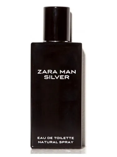 Imagen de Zara Man Silver