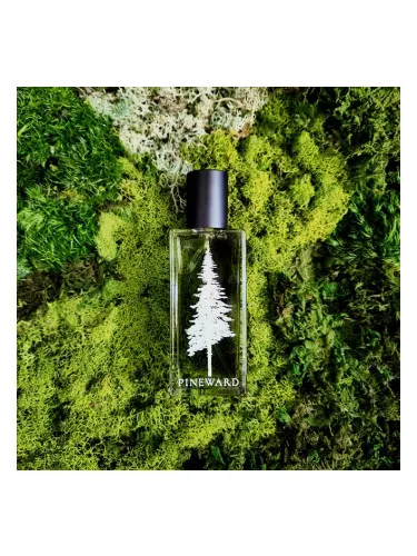 Perfume Acadian de Pineward Perfumes
