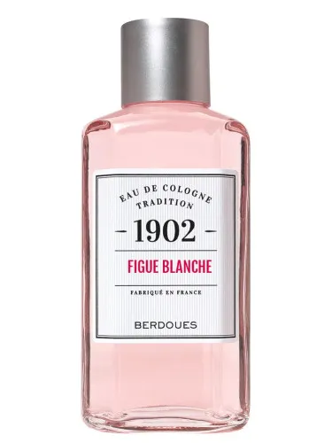 Imagen de 1902 Figue Blanche