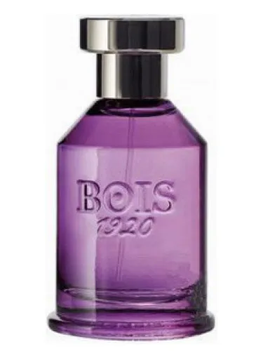 Perfume Spigo 1920 de Bois 1920