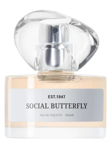 Imagen de Social Butterfly
