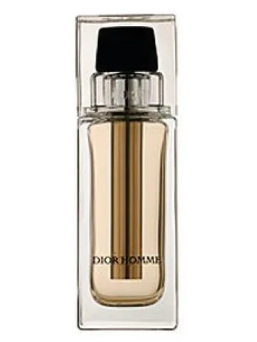 Imagen de Dior Homme Voyage