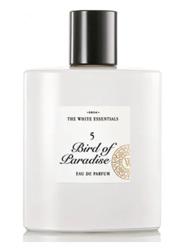 Imagen de 5 Bird Of Paradise