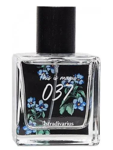 Colección THE LIBRARY Chapter 5: Floral Mood