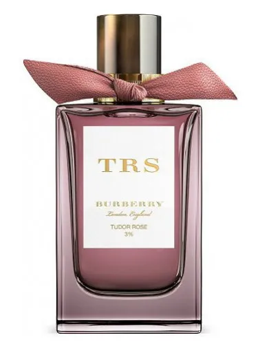 Imagen de Tudor Rose