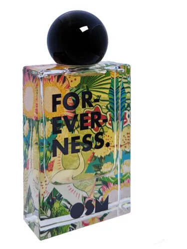 Imagen de Foreverness