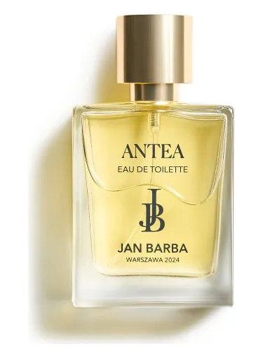 Imagen de Antea