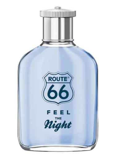 Imagen de Feel The Night