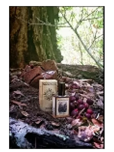 Perfume Black Forest de Solstice Scents