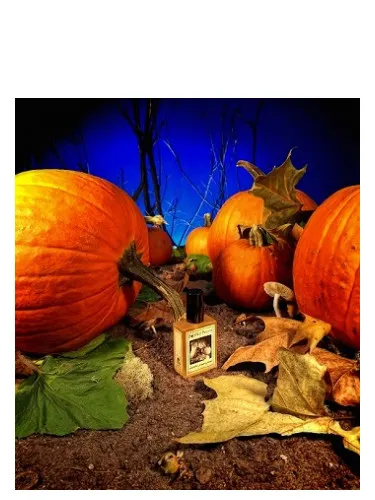 Perfume Gunnerson's Pumpkin Patch de Solstice Scents