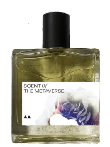 Perfume RSX | The Scent of the Metaverse de Rook Perfumes