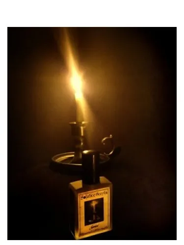 Perfume Seance de Solstice Scents