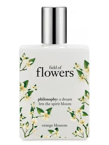 Imagen de Field of Flowers Orange Blossom