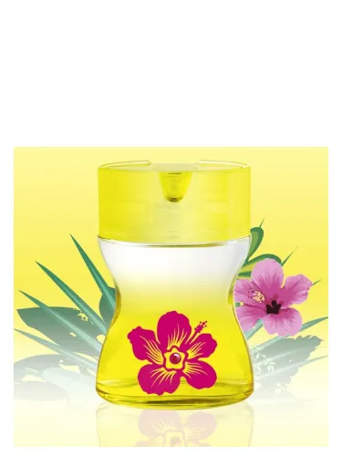 Perfume Sun & Love de Parfums Love Love