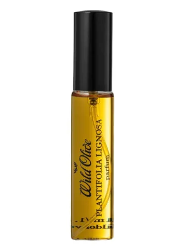 Perfume Plantifolia Lignosa de Wild Olive Artisans