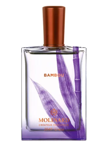 Imagen de Bambou