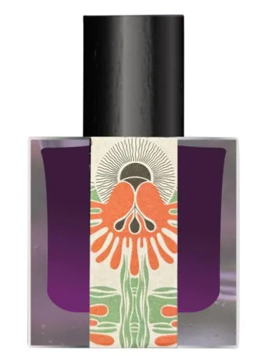 Perfume Cœr de Minuit de Jinx Smells