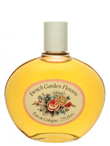 Imagen de French Garden Flowers Jasmine