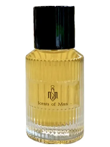 Imagen de Ancient Forest