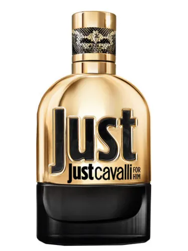 Imagen de Just Cavalli Gold for Him