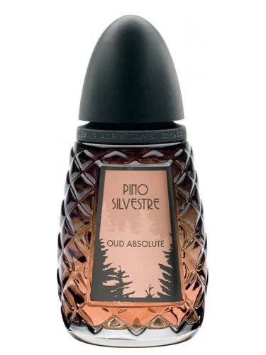 Imagen de Oud Absolute