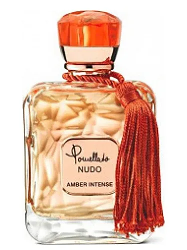 Imagen de Pomellato Nudo Amber Intense