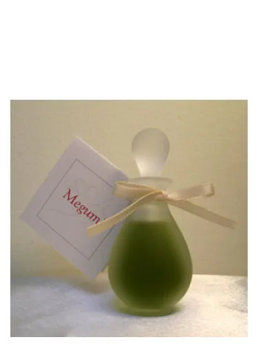 Perfume Megumi de Ayala Moriel